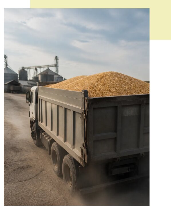 Перевозка сельхозпродукции навалом в Черемхово по цене от 3128 р. | Агросервис-Чрм